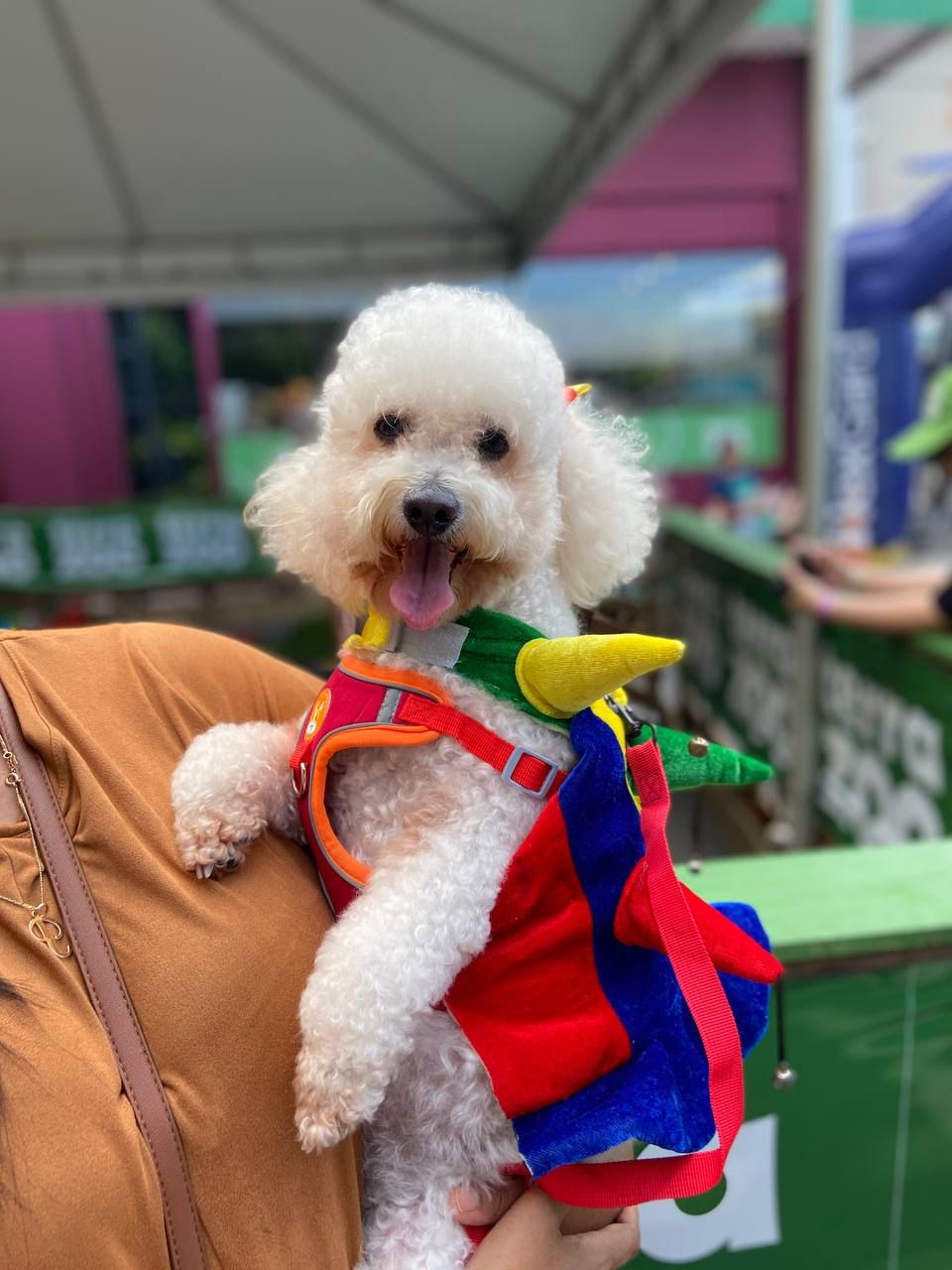 Animais de hoje e de ontem desfilam neste ″Carnaval″